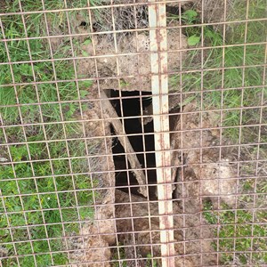Old well at the Round Swamp on the Milmed Rock Track