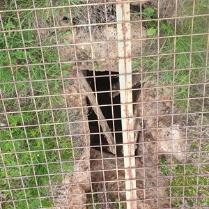 Old well at the Round Swamp on the Milmed Rock Track