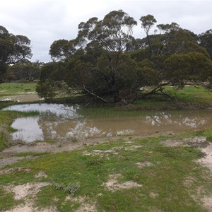 Round Swamp on the Milmed Rock Track