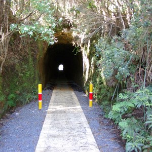 Spray tunnel