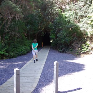 Spay tunnel board walk
