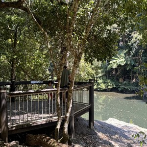 Platypus Viewing Area