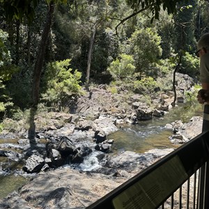 Platypus Viewing Area