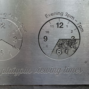 Platypus Viewing Area