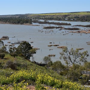 Mannum Lookout 