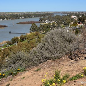 Mannum Lookout 