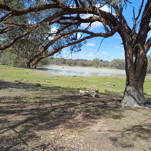 Culpaulin Camp