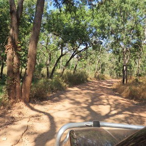 Track past campsites