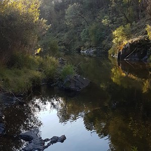 Buffalo River