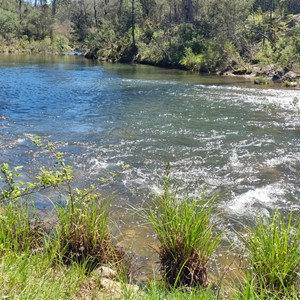 Manna Gum Campground