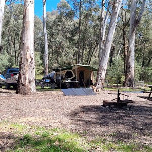 Manna Gum Campground