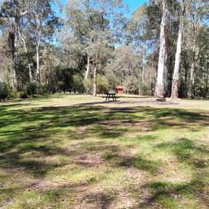 Manna Gum Campground