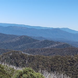 Mt Skene Jamieson - Licola Road Vic Feb 2024