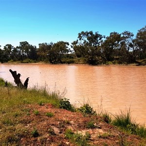 Gummomo Waterhole near Thylungra Station