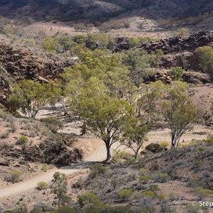 Parachilna Gorge Drive Lookout