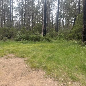 The Dog Kennel Campsite