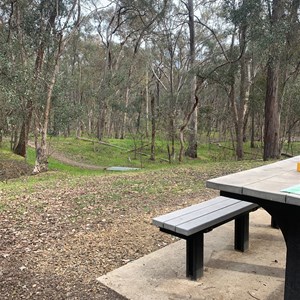 Honey eater picnic area