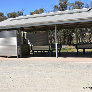 Orroroo Giant Gum 