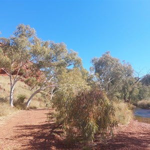 Kalgan Creek Camp