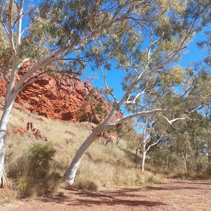 Kalgan Creek Camp