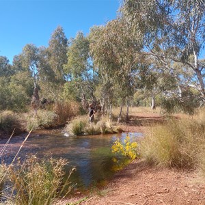 Kalgan Creek Camp