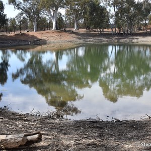 Wood Duck Dam 