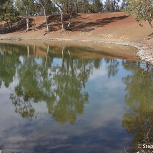 Wood Duck Dam 