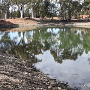 Wood Duck Dam 