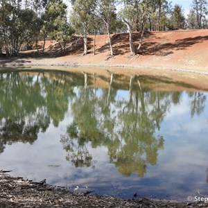 Wood Duck Dam 