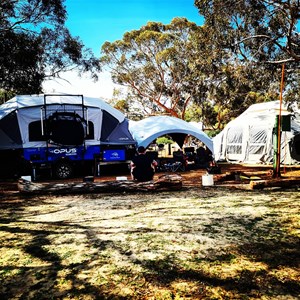 WhiteGum Farm Caravan Park