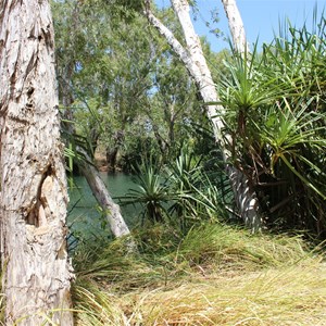 Wilingarri Waterhole