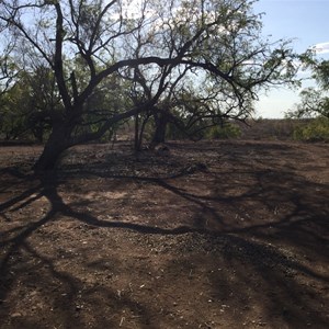 White Dimond Rest Area