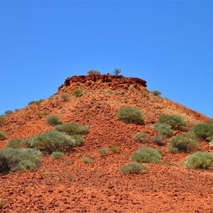 Helen Hill