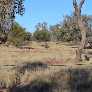 Fort Grey Campground