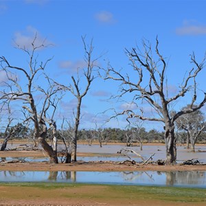 Lake Pinaroo (Near Fort Grey Campground) July 2011