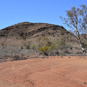 Murrays Gully Picnic Area