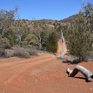 Murrays Gully Picnic Area