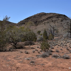 Murrays Gully Picnic Area