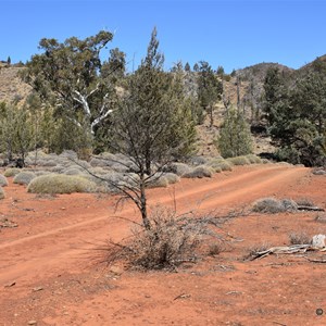 Murrays Gully Picnic Area