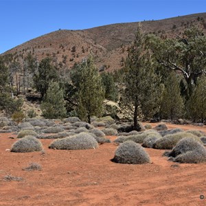 Murrays Gully Picnic Area