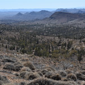 Murrays Lookout