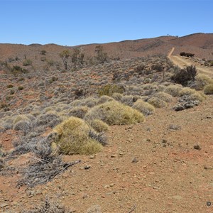 Murrays Lookout