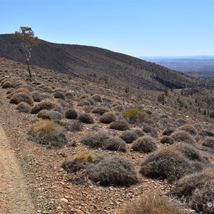 Murrays Lookout