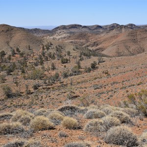 Murrays Lookout