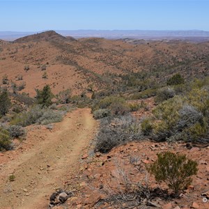 Davey's Lookout 