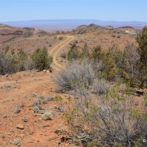 Davey's Lookout 