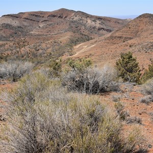 Davey's Lookout 
