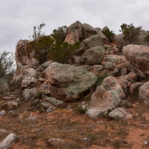 Camels Hump Lookout 