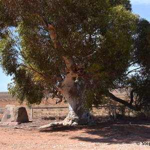 May Gibbs Memorial