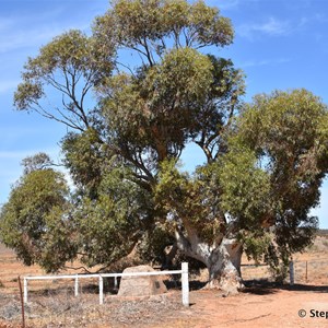 May Gibbs Memorial